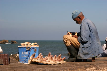 Prowincja Essaouira