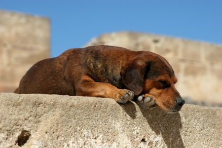 Prowincja Essaouira