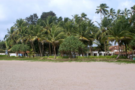 Srilanka (1)