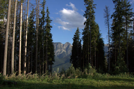 Zakopane