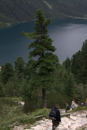 Zakopane