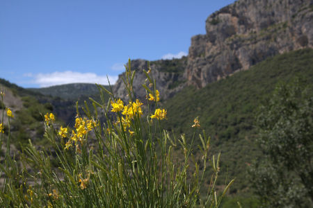 Saint Guilhem00102